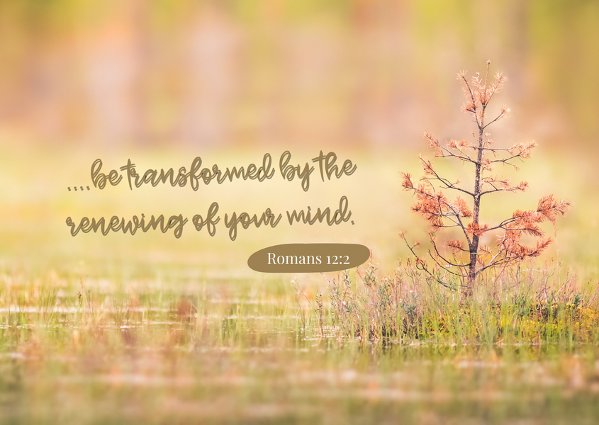 Benefits of the Renewed Mind