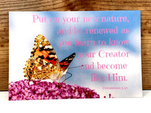 Embrace Grace, Pursue Holiness Butterfly Box (September Box)